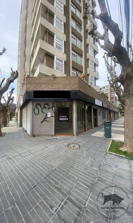 Propiedad n4